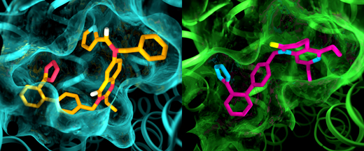 photosynthetic reaction center showing chlorophyll special pair